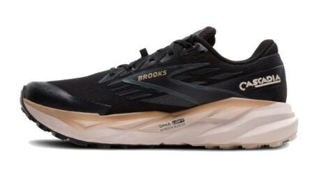 cascadia gtx feature image